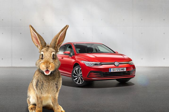 Golf Rabbit